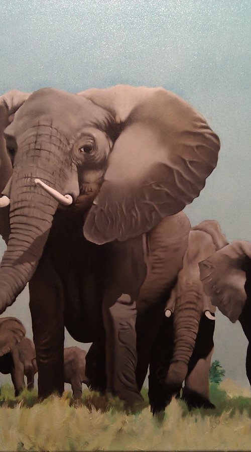 African Elephant Herd by Bernard Myburgh