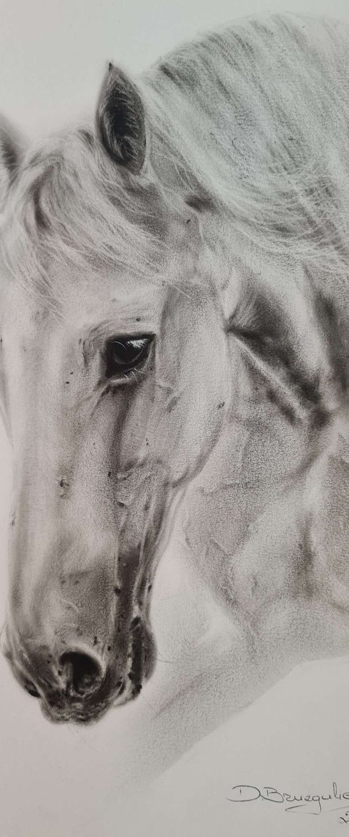 Oil painting horse by Deimante Bruzguliene