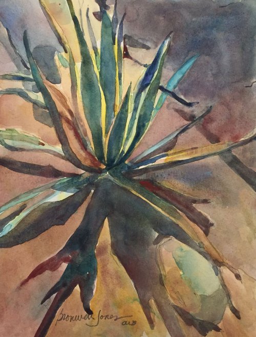 Desert Yucca by Bronwen Jones