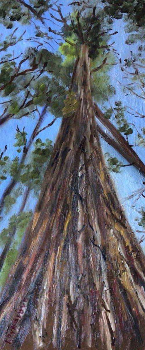 Reach for the Skies by Julian Lovegrove Art