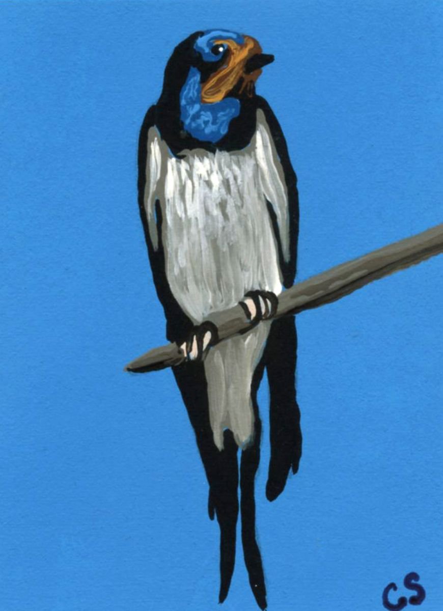 ACEO ATC Original Painting Barn Swallow Bird Wildlife Art-Carla Smale by carla smale