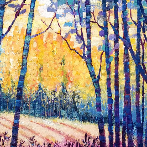 Sunbeams in the forest