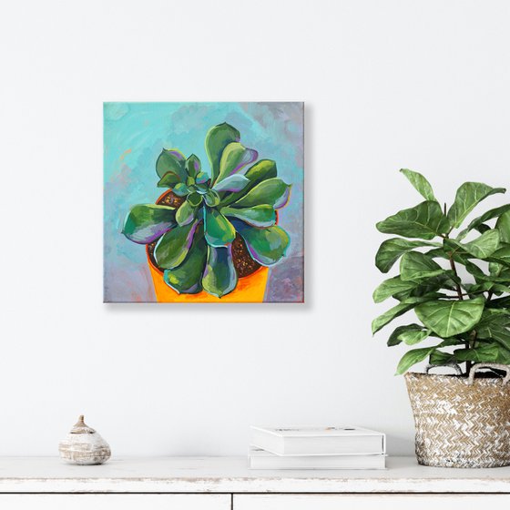 Pet succulent - original artwork