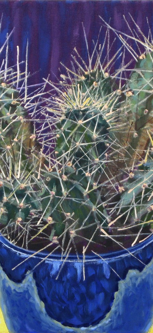 Cactus in Blue Pot by Richard Gibson