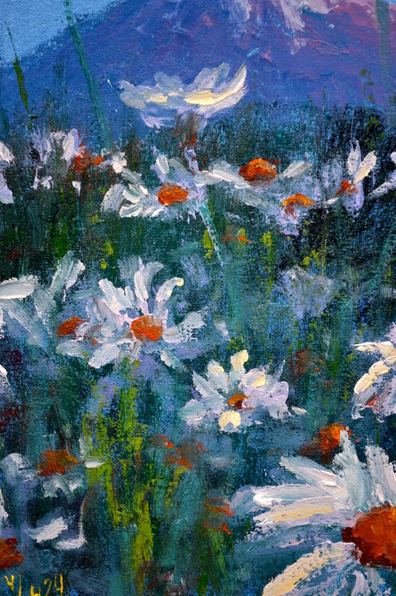 Japanese meadow daisies 30X24