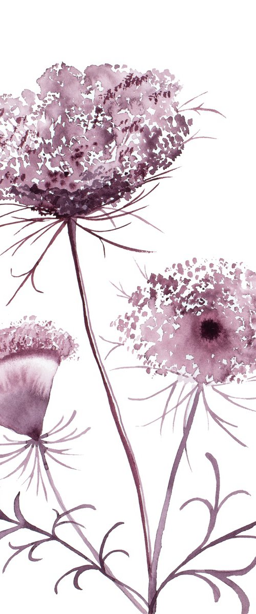 Queen Anne's Lace No. 19 by Elizabeth Becker