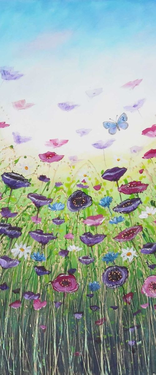 Rainbow Fields by Amanda Dagg