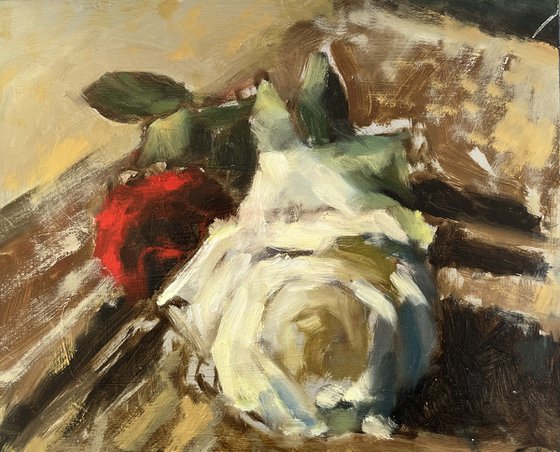 White and Red Roses