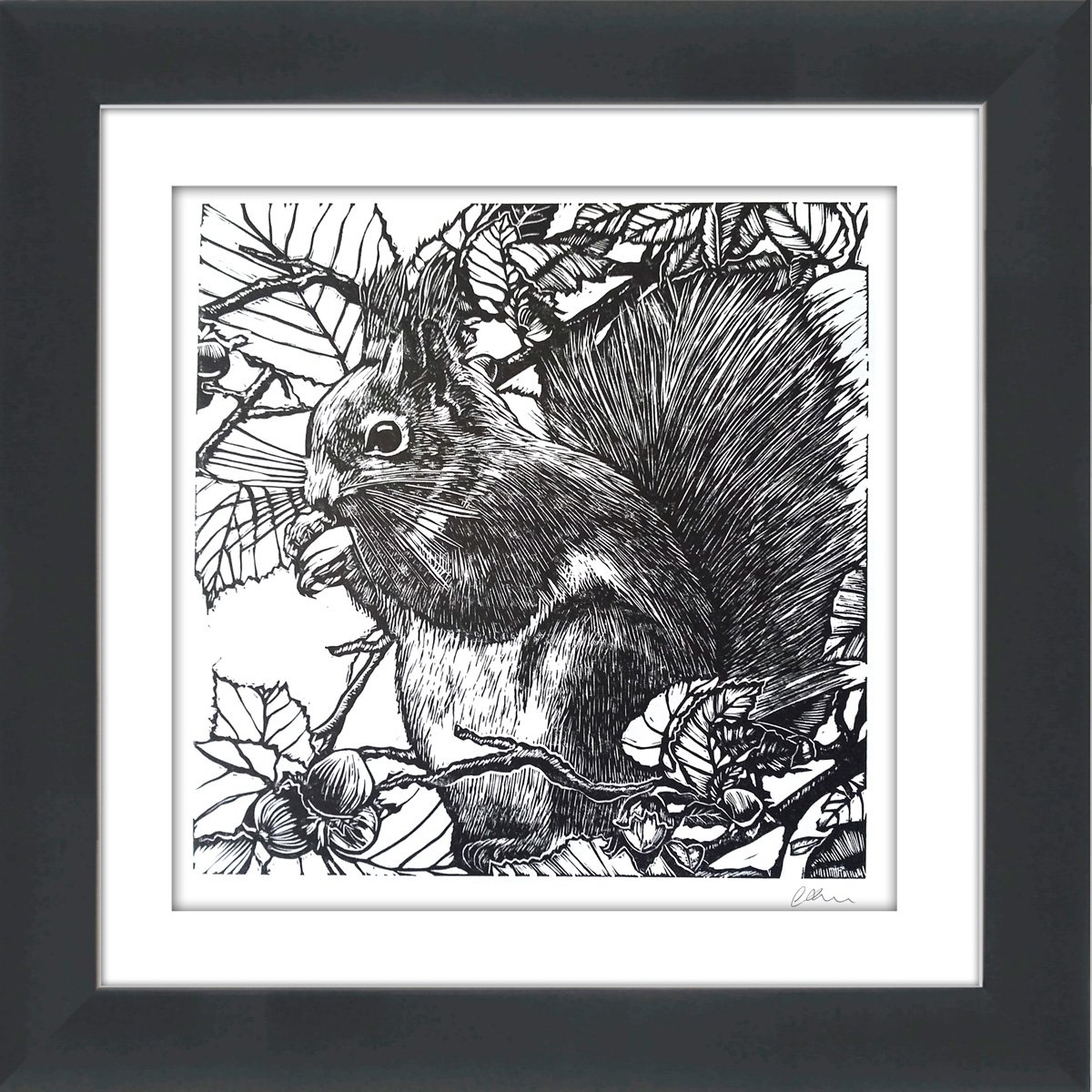 Natures feast- framed and ready to hang (black and white version - linocut red squirrel) by Carolynne Coulson