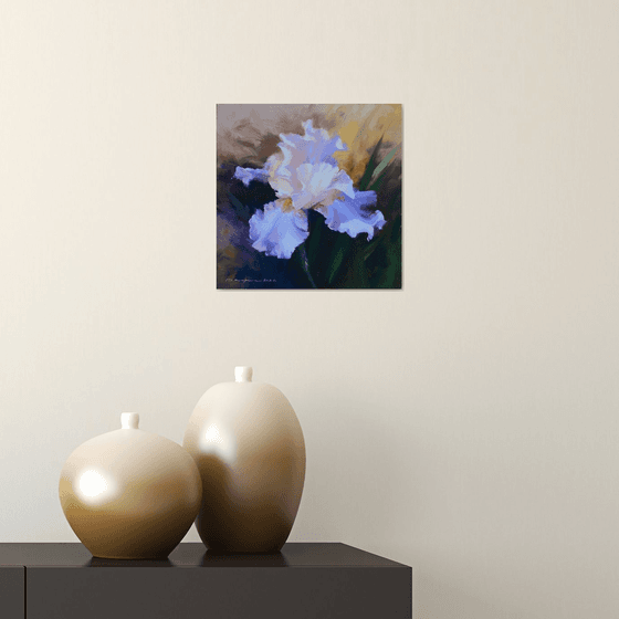 Iris