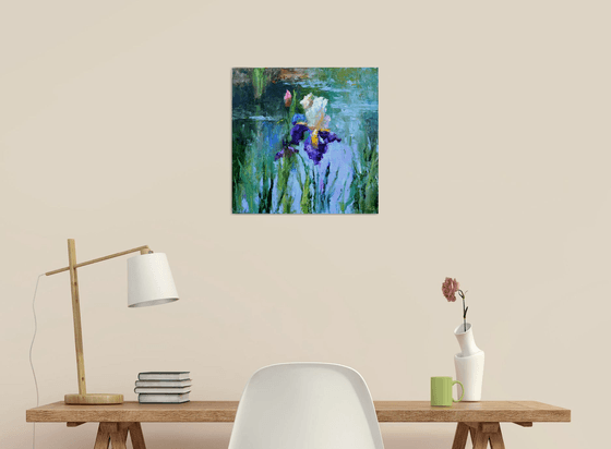 Iris by the pond