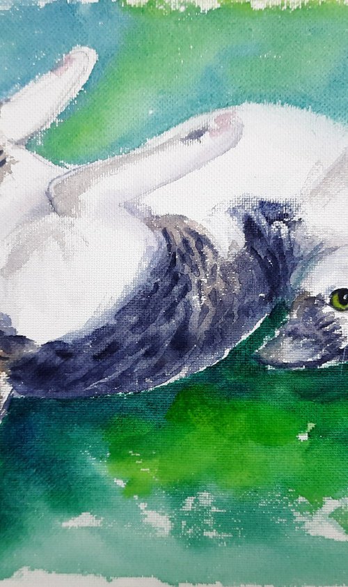 Playful Tabby cat on the couch by Asha Shenoy