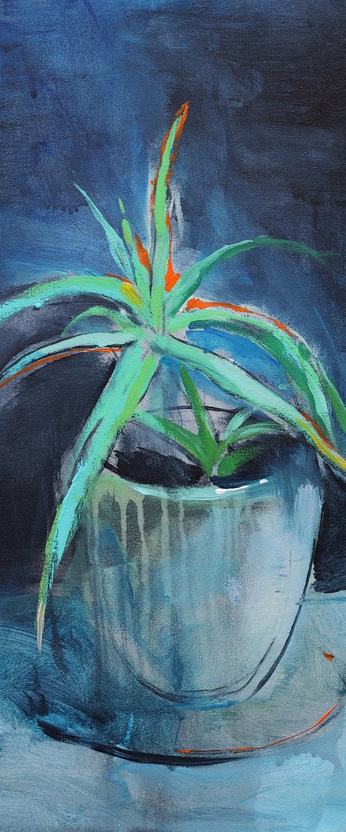 Aloe by Artem Andreichuk