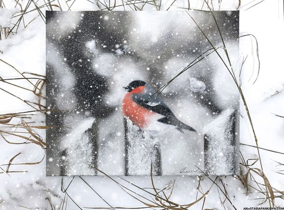 Bullfinch on the fence