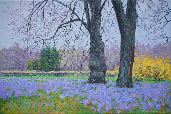 Blue primroses