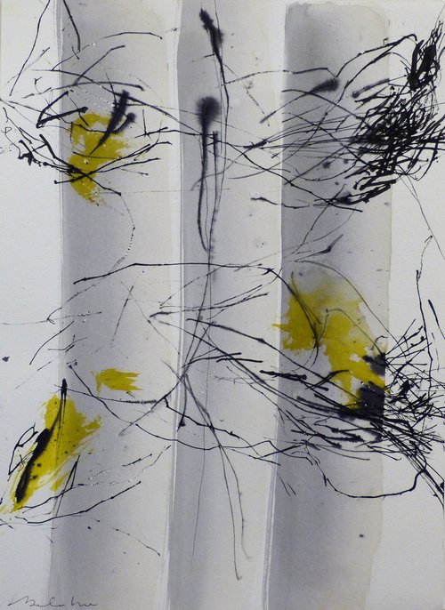 The Scratches, 29x41 cm - ESA2 by Frederic Belaubre