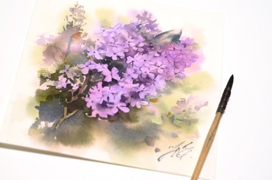 Lilac branch on a square sheet of paper
