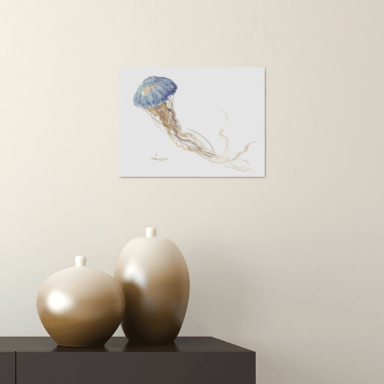 Jellyfish