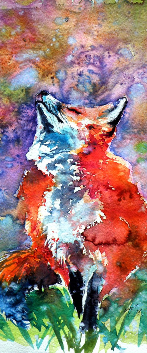 Spring is in the air - red fox by Kovács Anna Brigitta