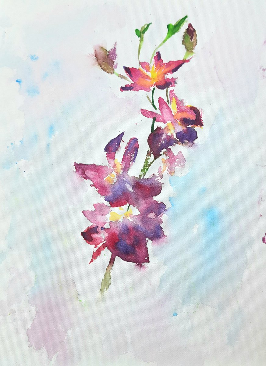 Purple Orchids - Watercolors on paper 11.25x 8.25 by Asha Shenoy