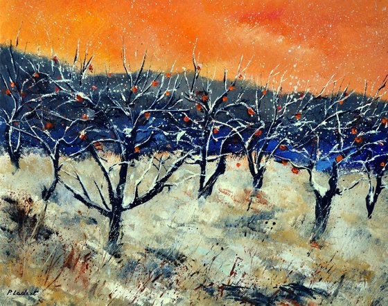 apple trees in winter