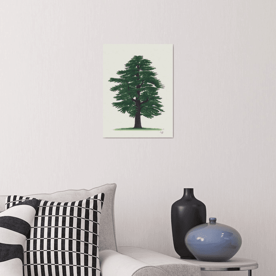 Cedar of Lebanon
