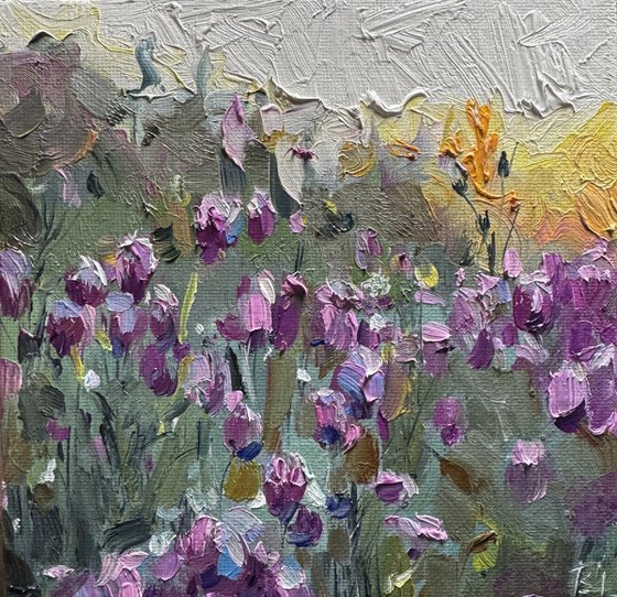 Lavender Field Symphony
