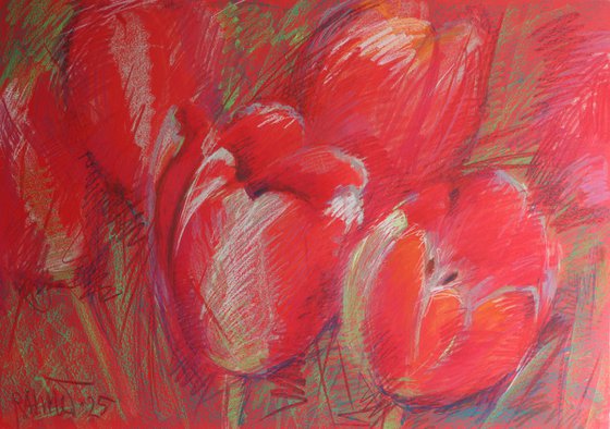 Tulips Red
