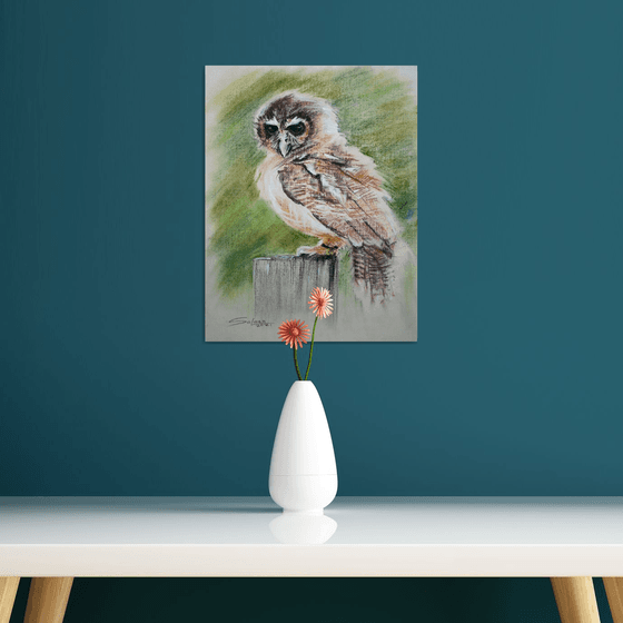 Owl I / From my a series of BIRDS / ORIGINAL PAINTING