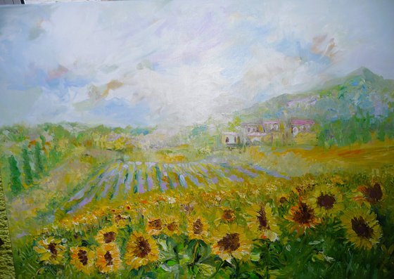Tuscan Sunflowers 2024