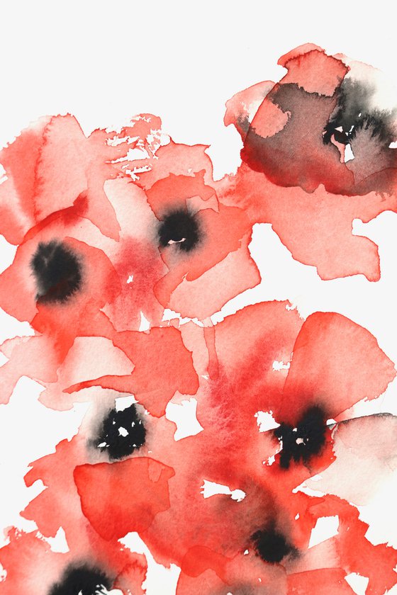 Poppies II