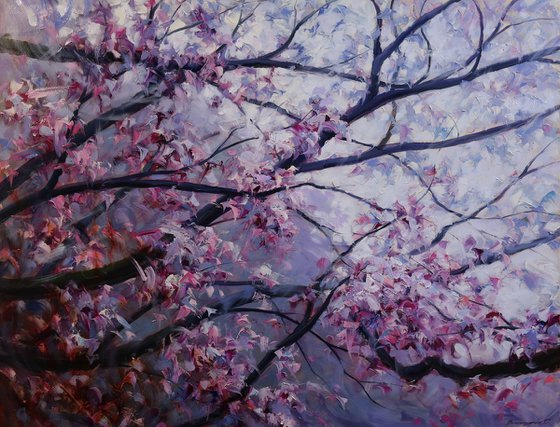 "Bloom"