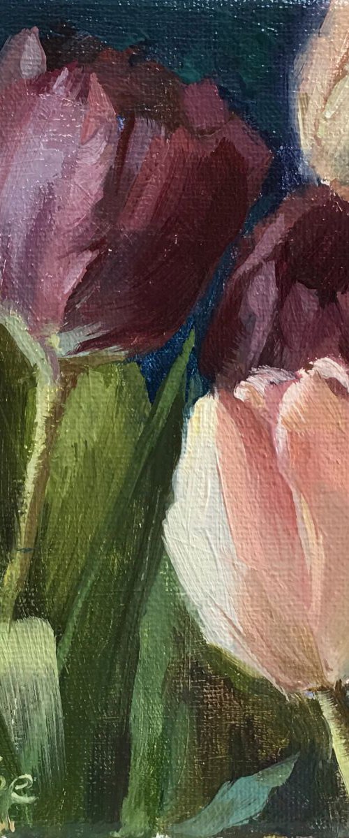 Tulips - 3 by Ling Strube