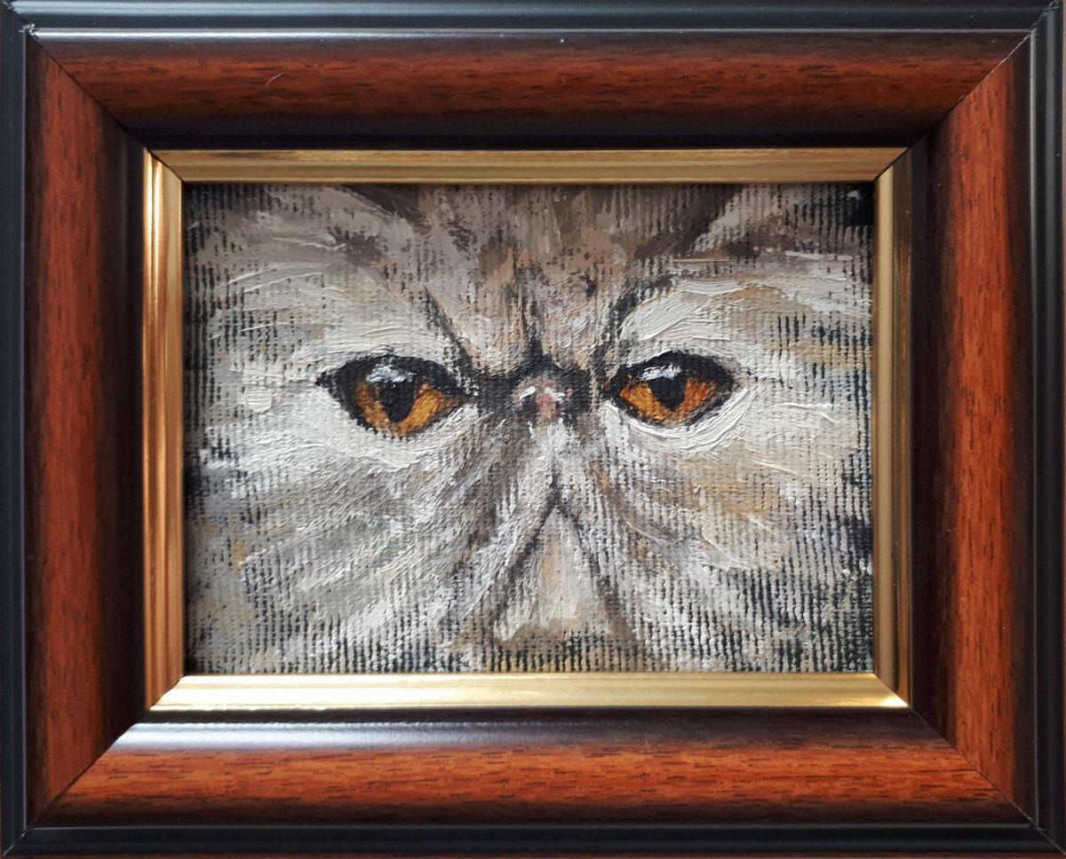 Cat V By Salana Art / Svetlana Samovarova, 6 X 5, Artwork For Sale On Artfinder
