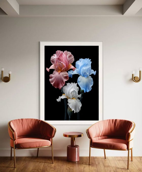 Trinity in Bloom Limited Edition