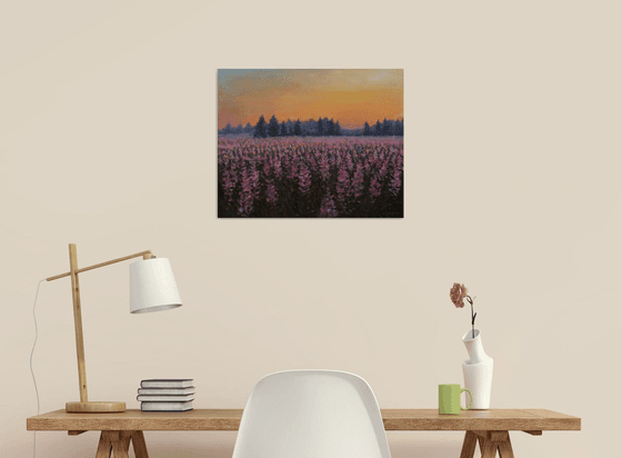 Sunset Over The Purple Flowers