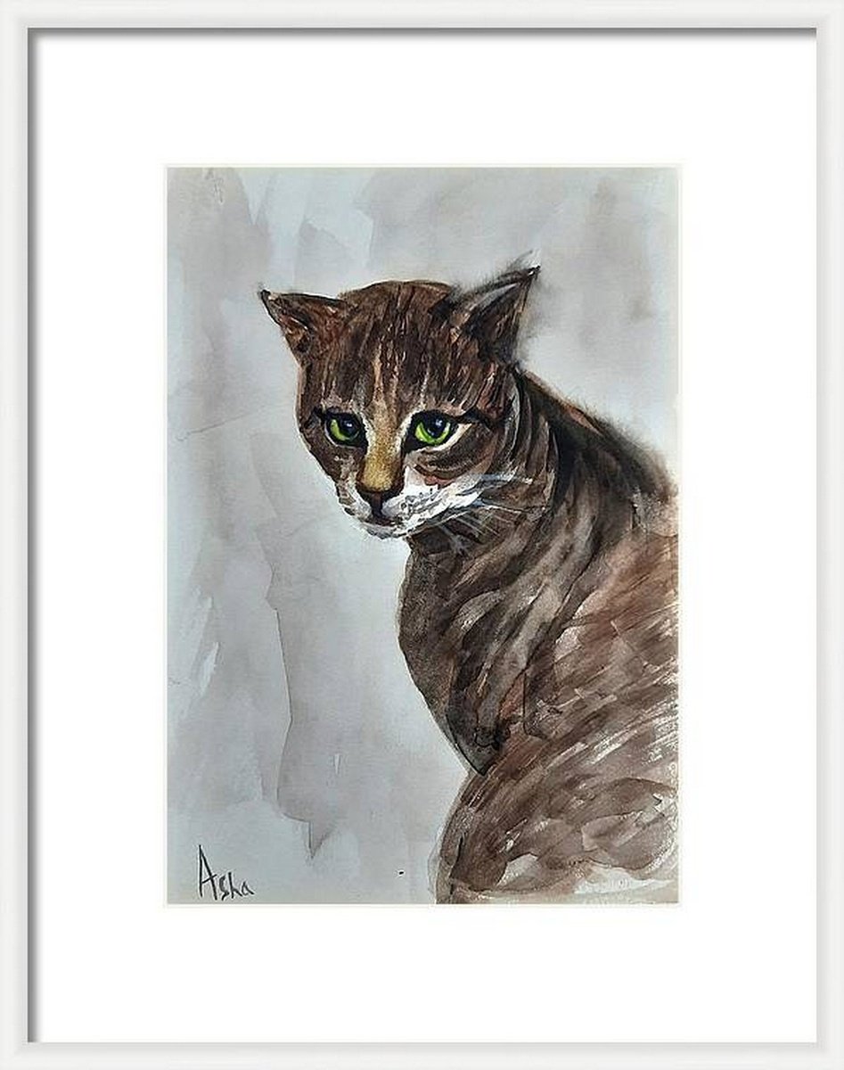 Kumuda, The Tortoiseshell Tabby Cat by Asha Shenoy