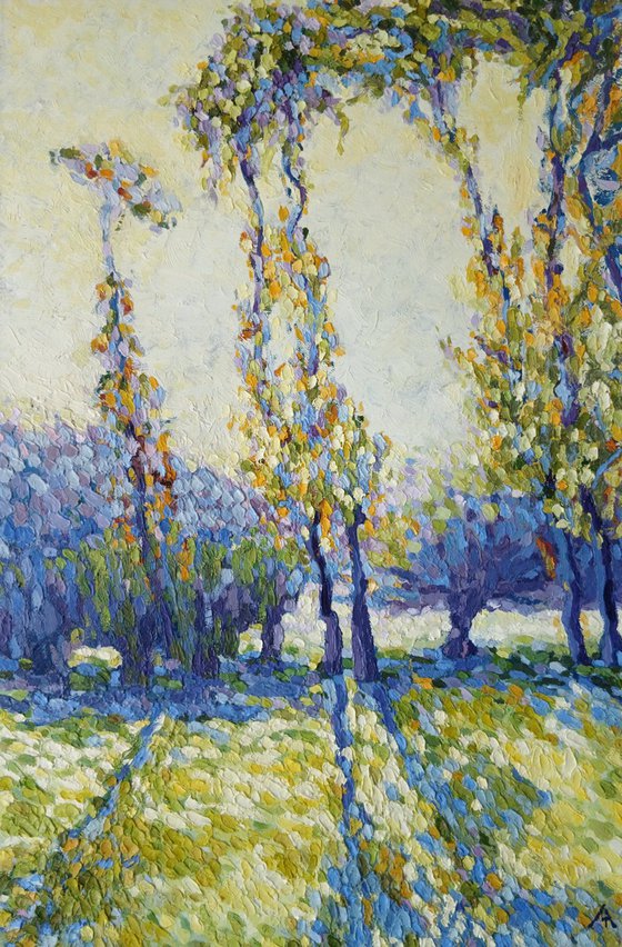 Poplars in the morning sun