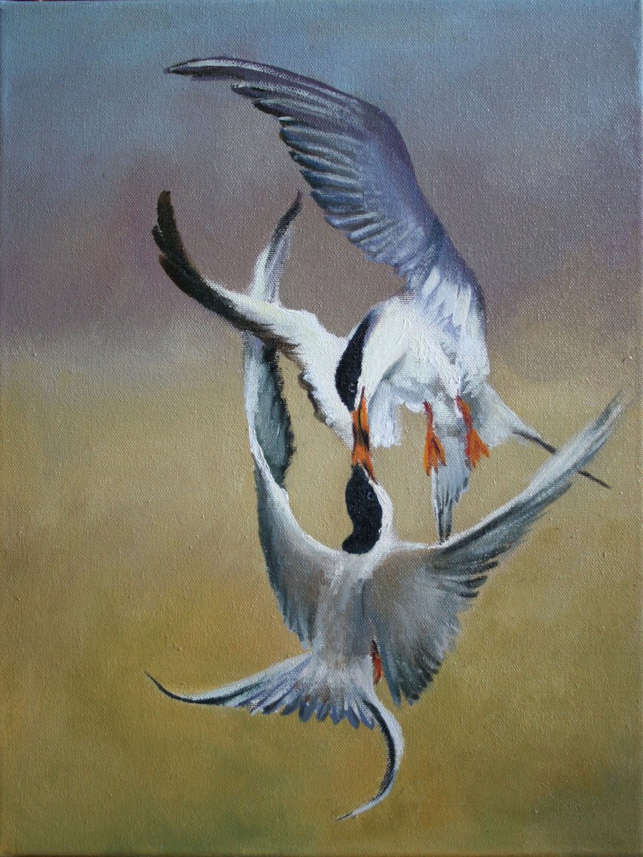 Couple... Arctic Gulls By Salana Art / Svetlana Samovarova, 12 X 16, Artwork For Sale On Artfinder