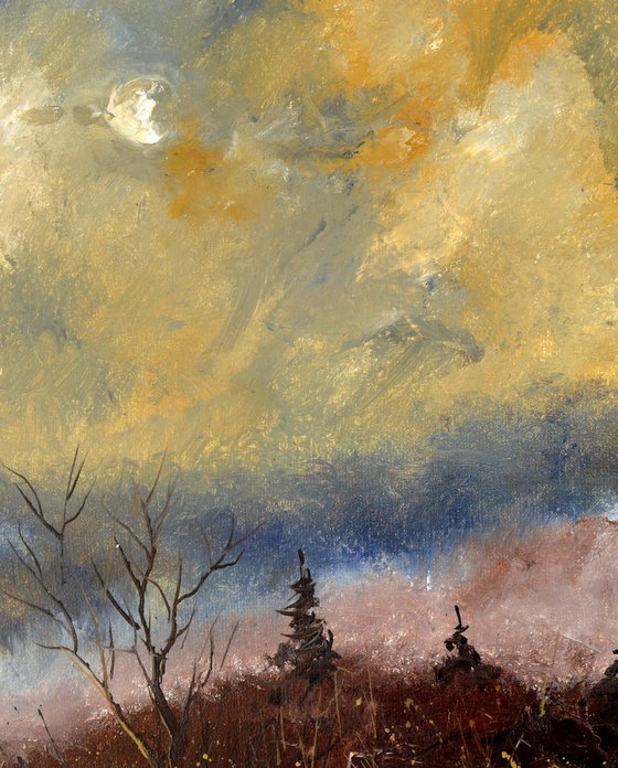 Moonshine in winter