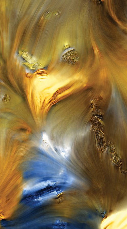 Oro fandango by Javier Diaz