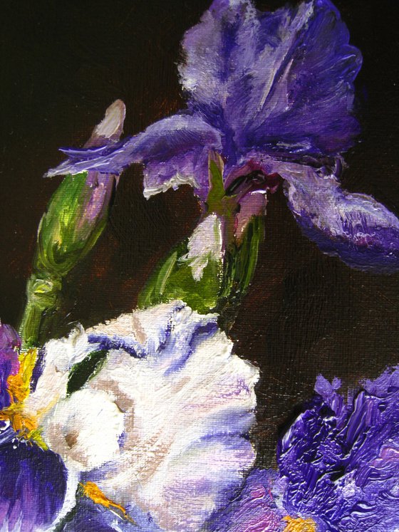White Peony and Purple Irises