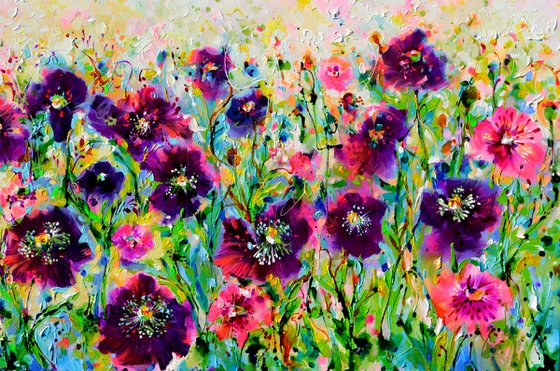 Opium Poppy Field, Purple Poppies