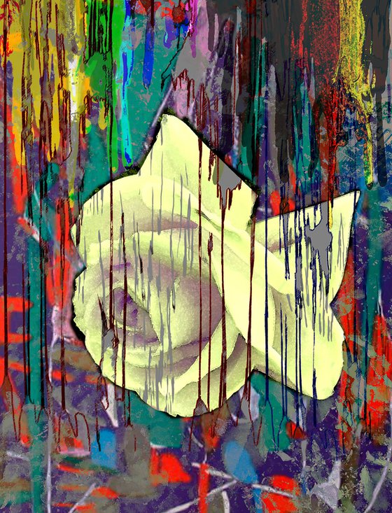 Abstract Turkish Rose