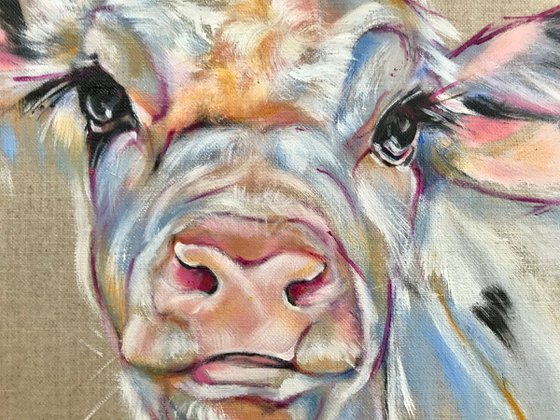Kohl - Black & White Calf Cow original oil painting on linen on board