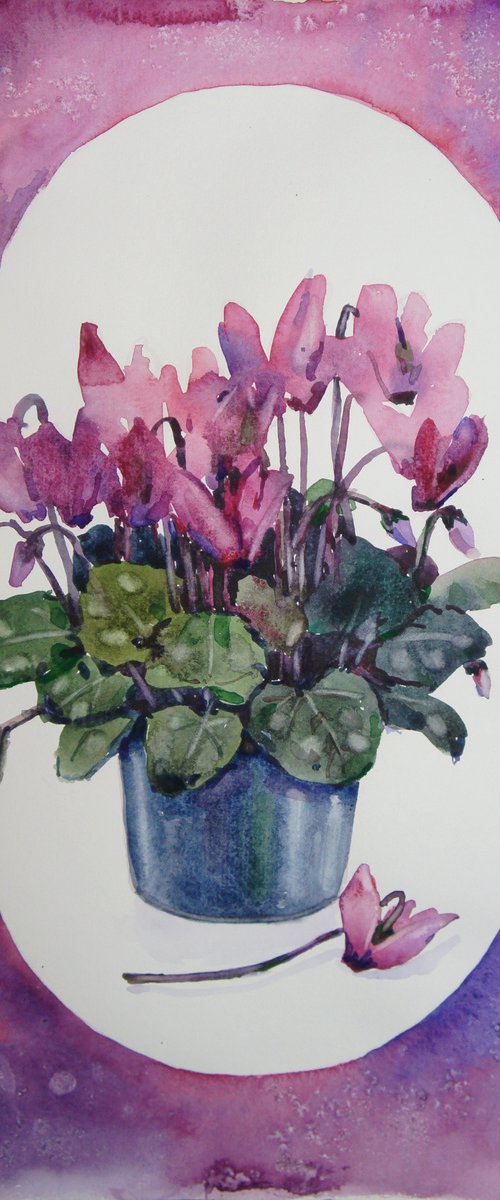 Cyclamen by Elena Sanina