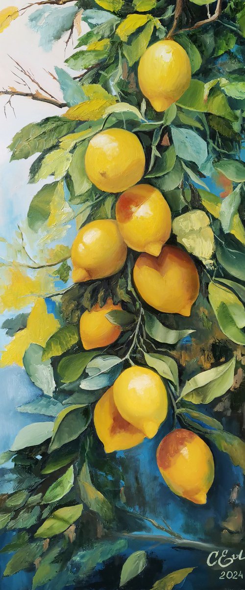 Sicilian Citrus Harmony by Oksana Evteeva