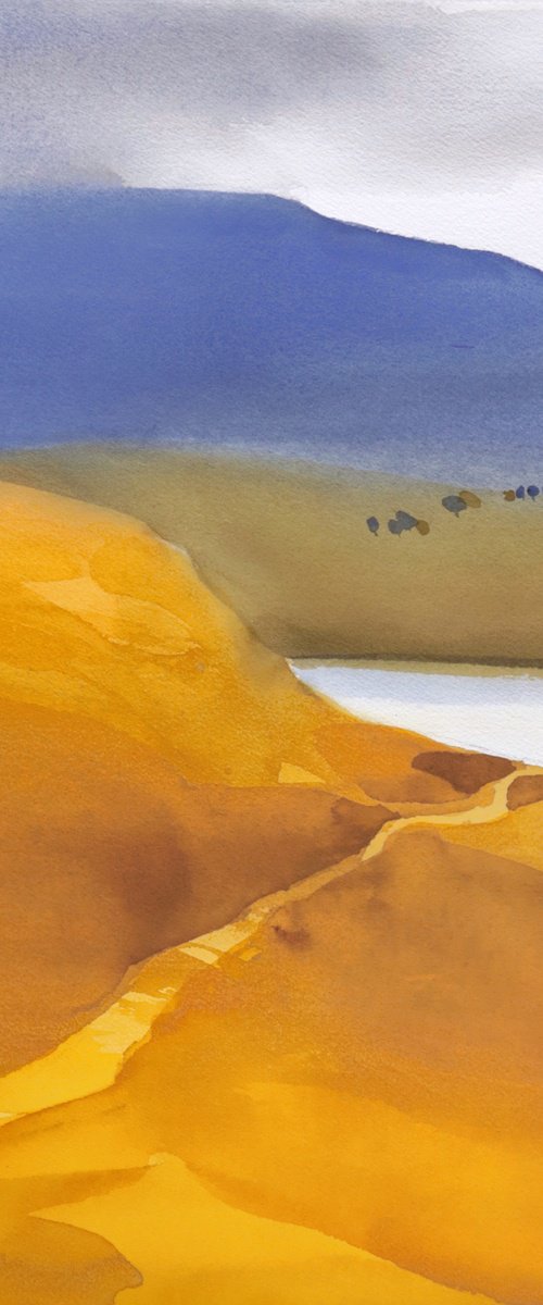 Indian summer yellows & blues by Prashant Prabhu