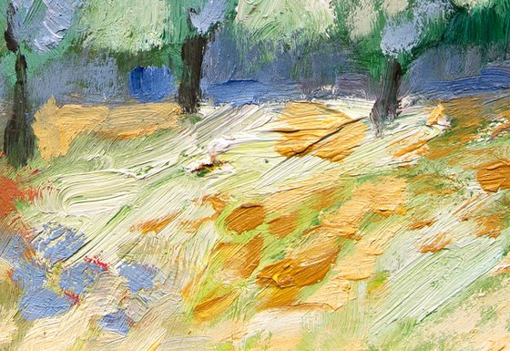 Olive Groves
