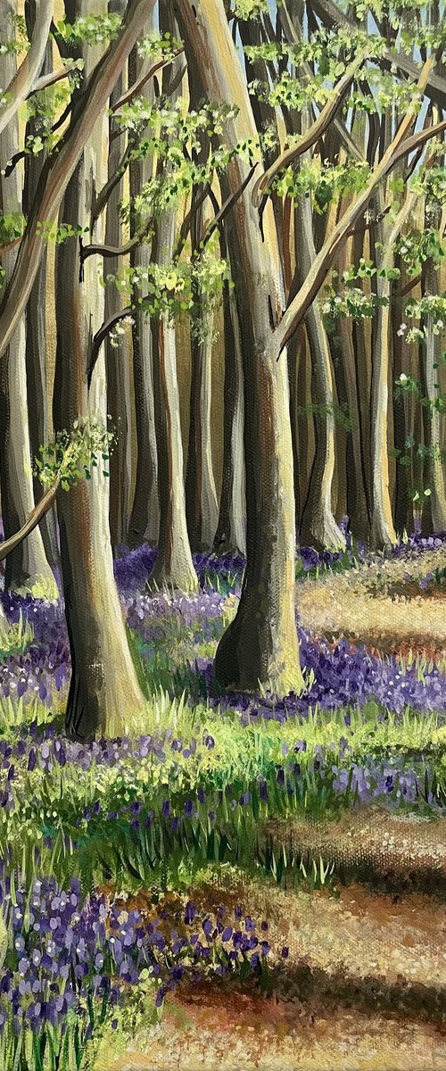 Pathway through the Bluebell Woods by Tiffany Budd